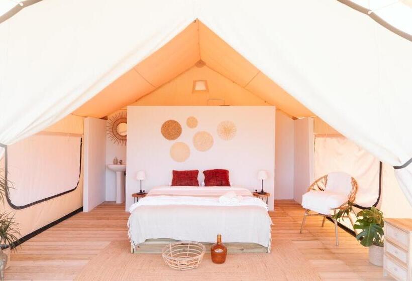 تختخواب و صبحانه Dreamsea Surf Guest House