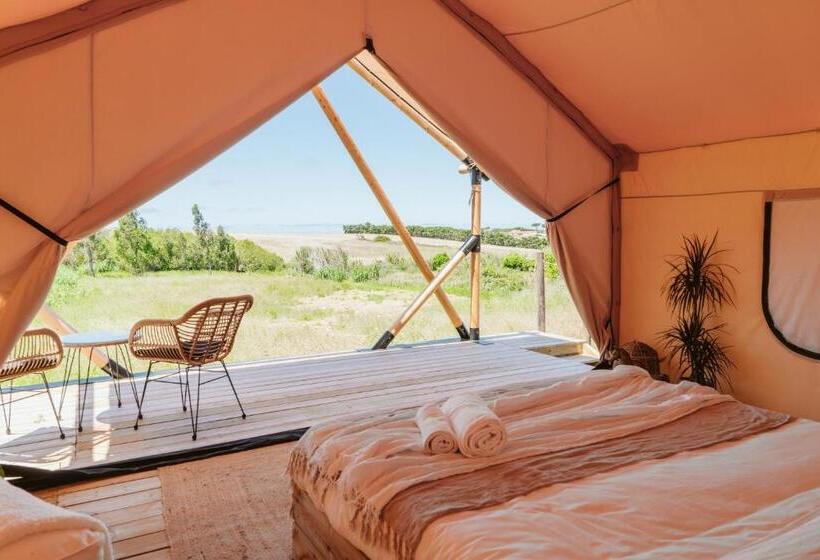 تختخواب و صبحانه Dreamsea Surf Guest House