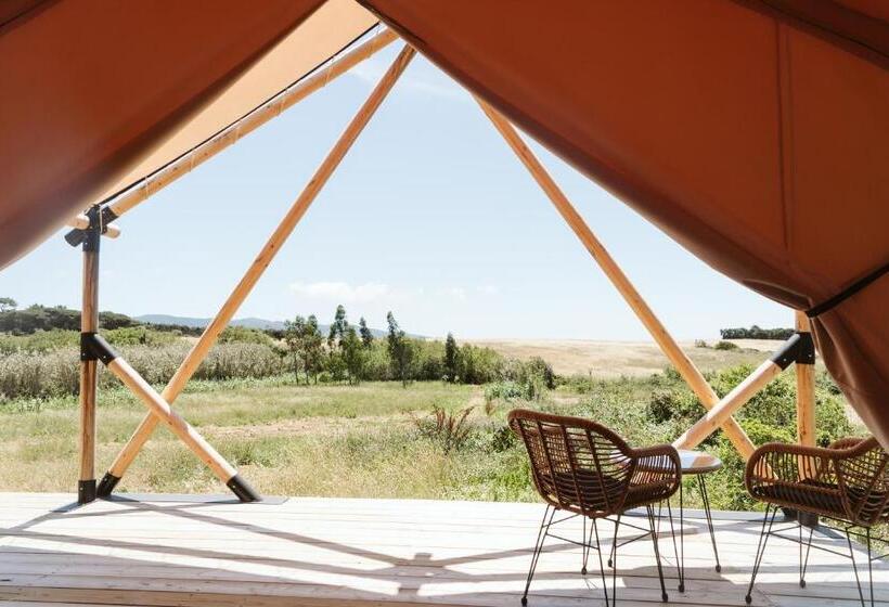 تختخواب و صبحانه Dreamsea Surf Guest House