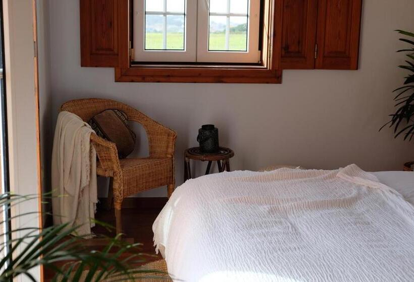 تختخواب و صبحانه Dreamsea Surf Guest House