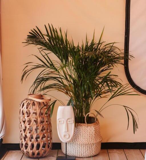 تختخواب و صبحانه Dreamsea Surf Guest House