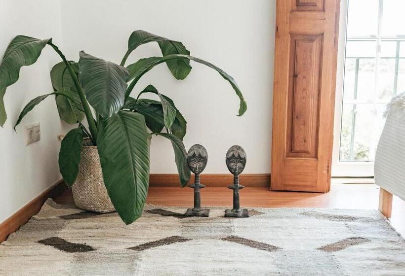 تختخواب و صبحانه Dreamsea Surf Guest House