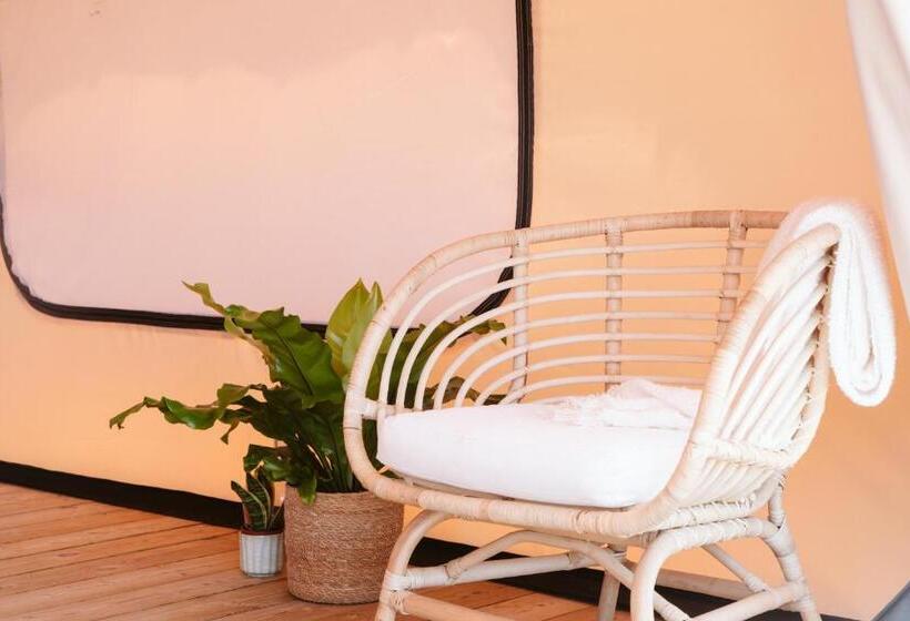 تختخواب و صبحانه Dreamsea Surf Guest House