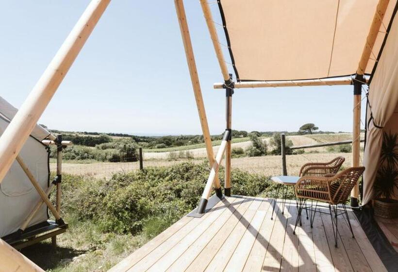 تختخواب و صبحانه Dreamsea Surf Guest House