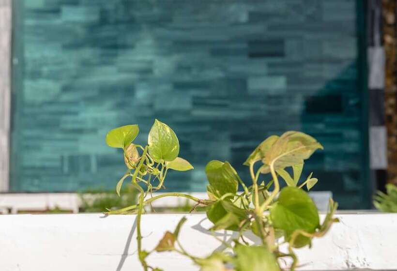 هتل Babylon Hoi An Central Villa