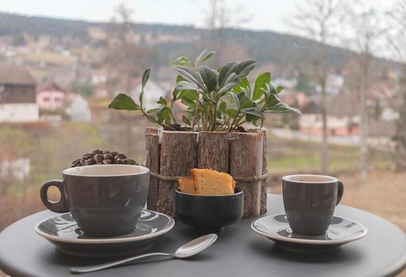 Отель Hôtel Interlaken Lounge Bar & Spa