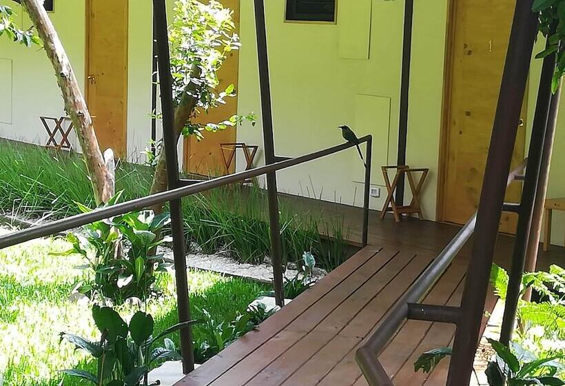 فندق Pibi Boreal