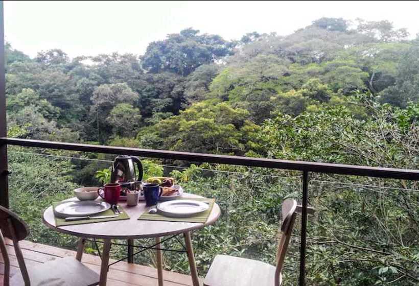 فندق Pibi Boreal