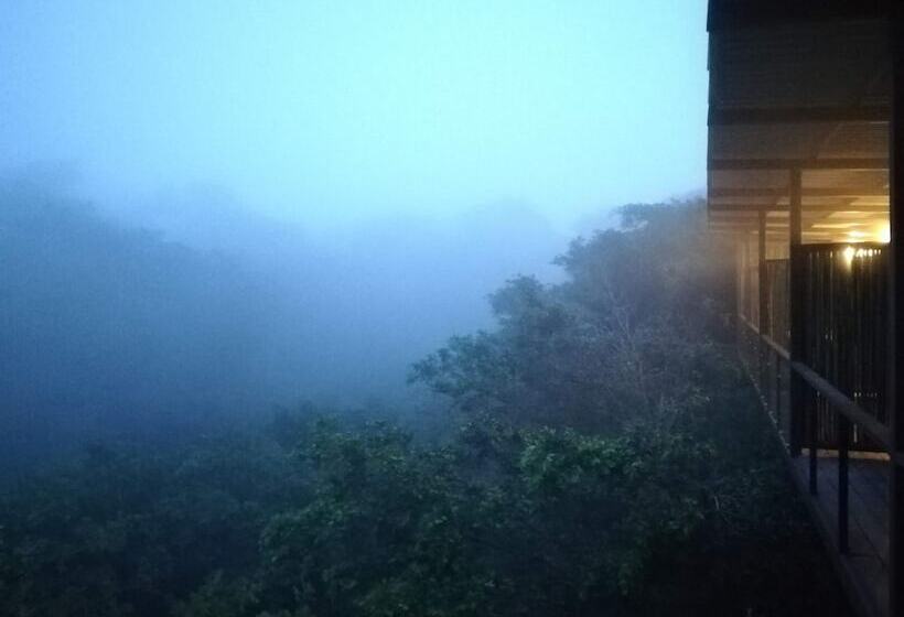 فندق Pibi Boreal