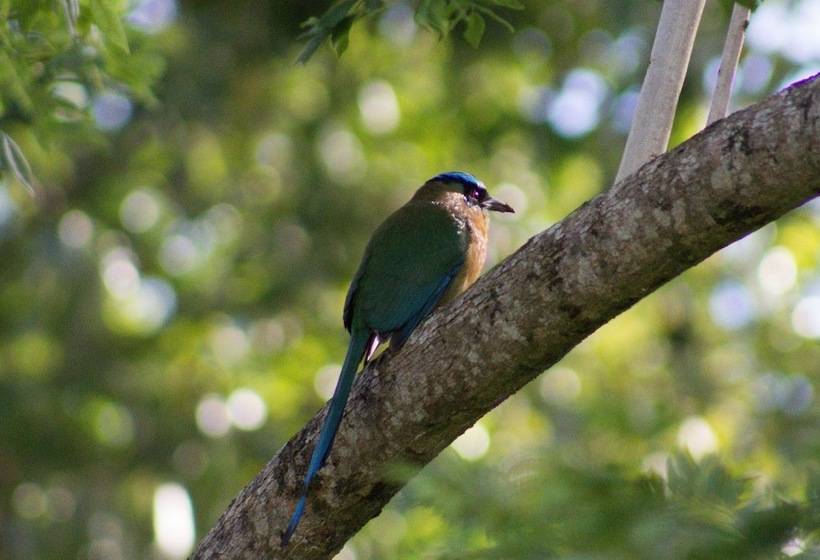 فندق Pibi Boreal