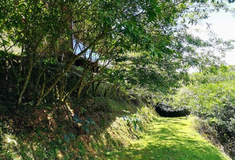 فندق Pibi Boreal