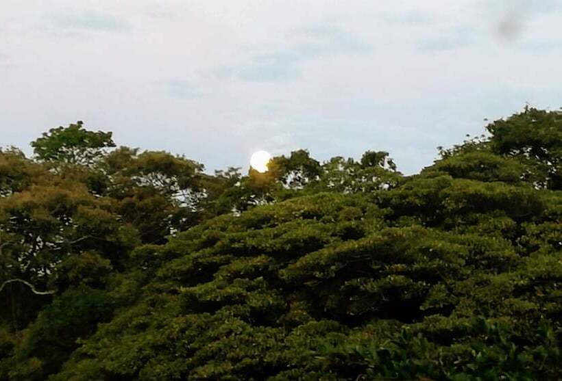 فندق Pibi Boreal