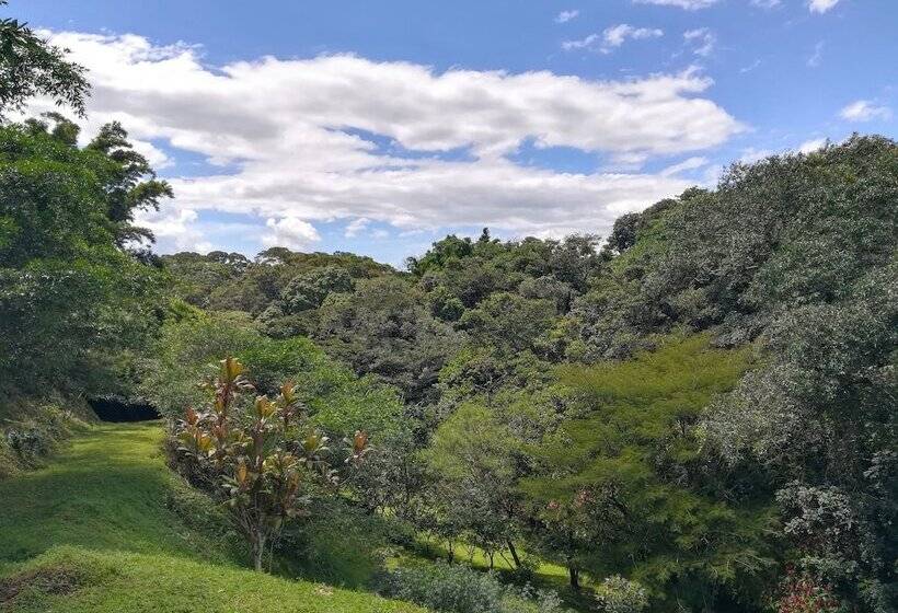 فندق Pibi Boreal