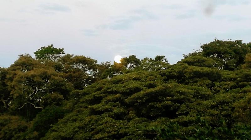 فندق Pibi Boreal