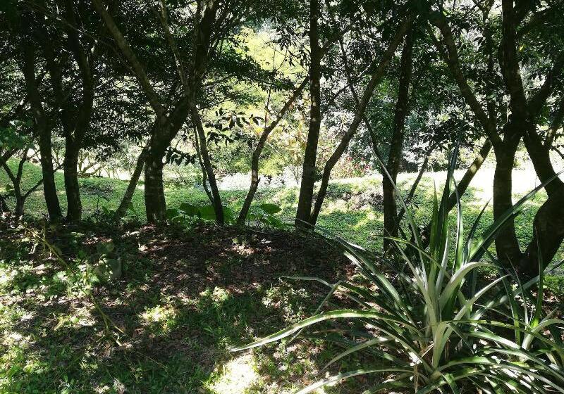 فندق Pibi Boreal