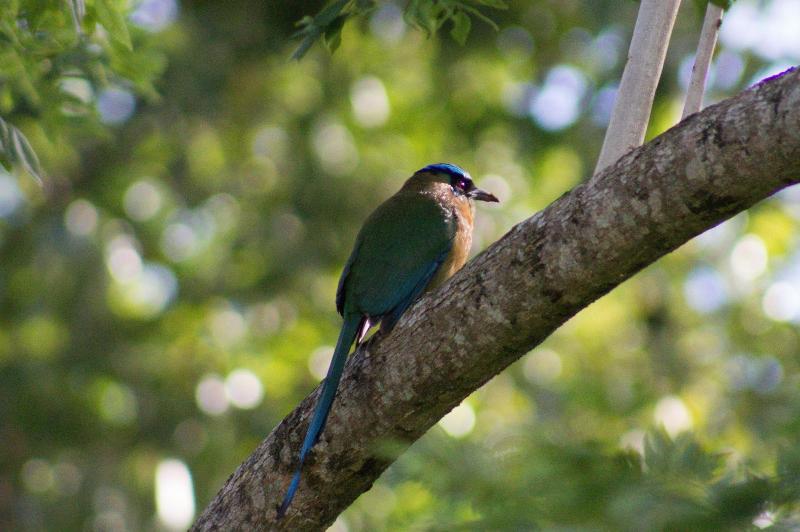 فندق Pibi Boreal