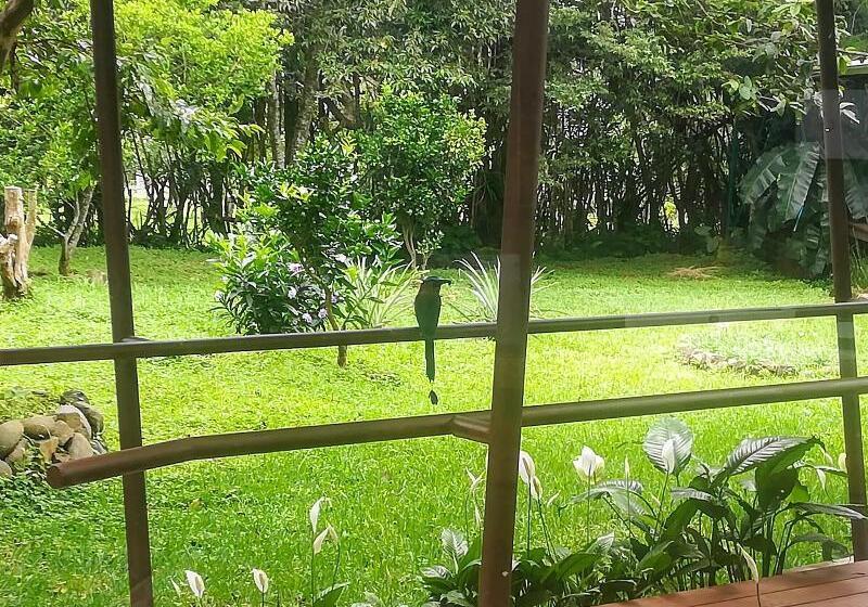 فندق Pibi Boreal