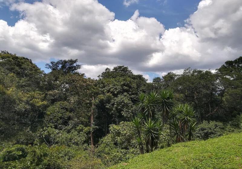 فندق Pibi Boreal