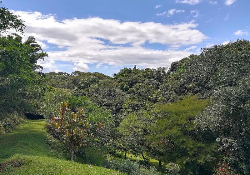 فندق Pibi Boreal