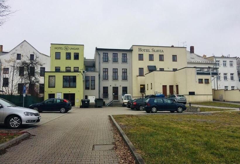 בית מלון כפרי Ungar