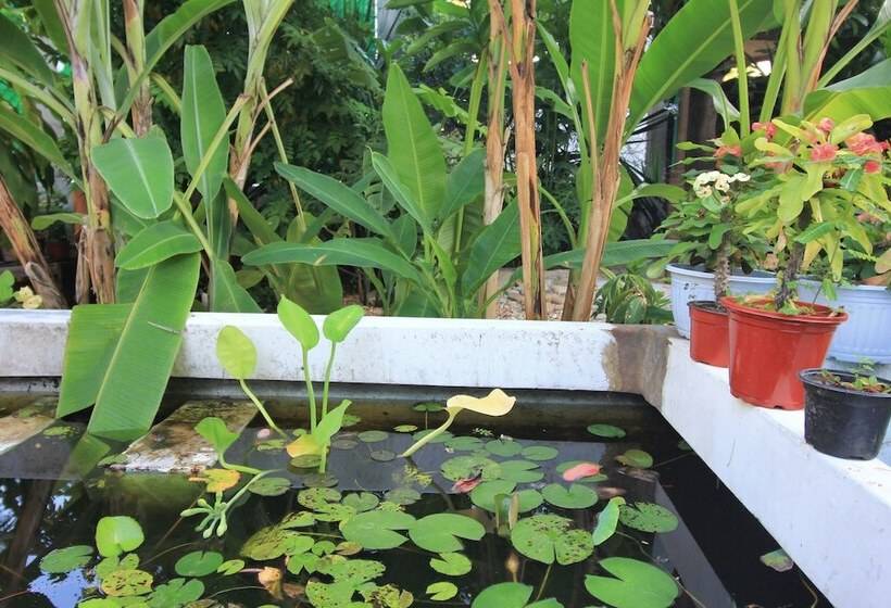 Пансион Paziflora Hostel