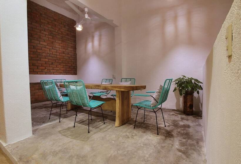پانسیون Paziflora Hostel
