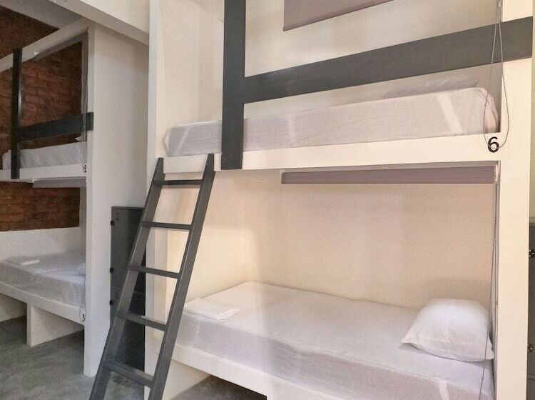 پانسیون Paziflora Hostel