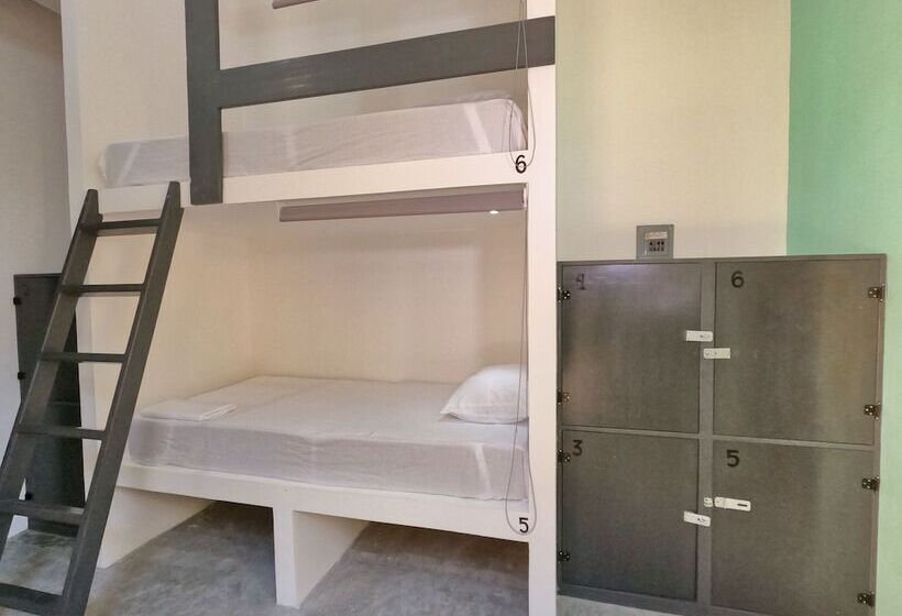 Пансион Paziflora Hostel