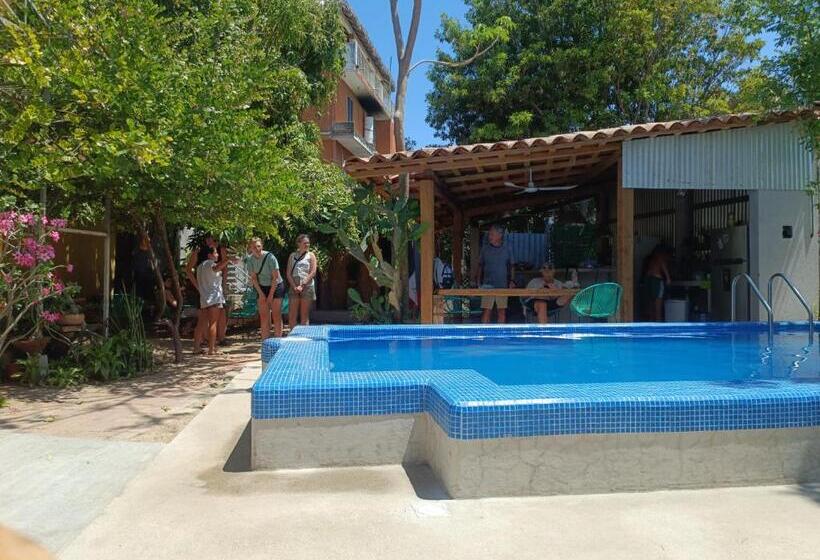 پانسیون Paziflora Hostel