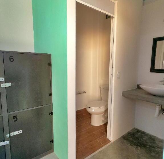 Пансион Paziflora Hostel