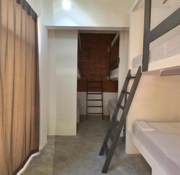 پانسیون Paziflora Hostel