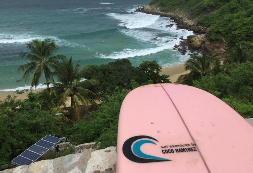 Пансион Paziflora Hostel