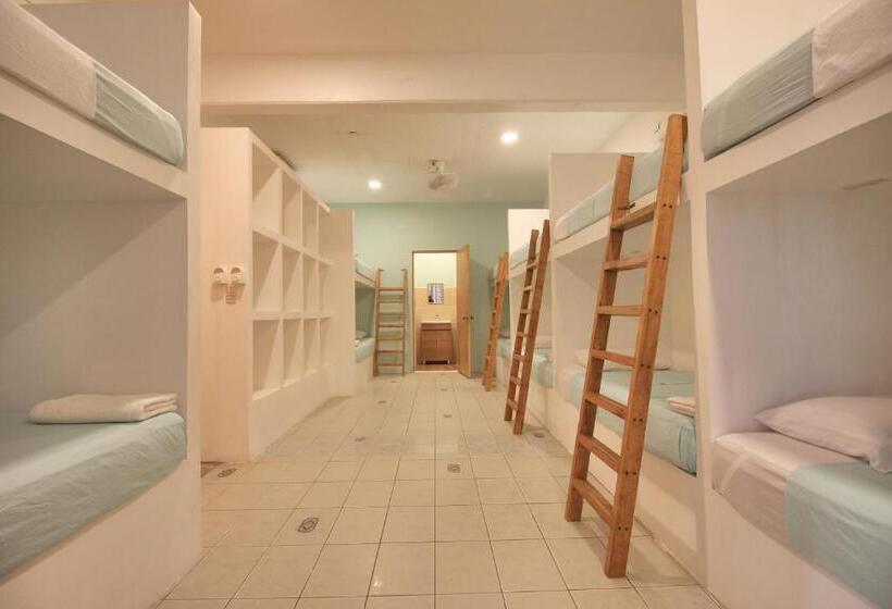 Пансион Paziflora Hostel