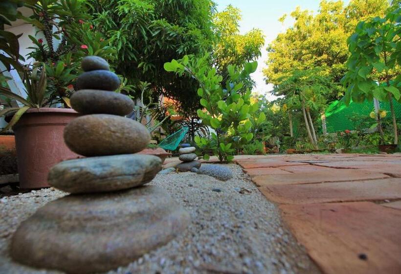 Пансион Paziflora Hostel