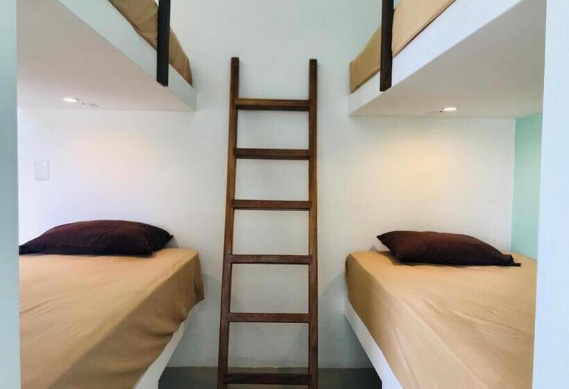 Пансион Paziflora Hostel