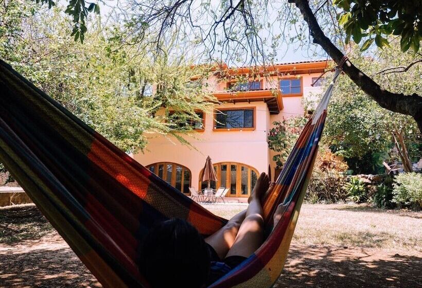 فندق صغير Luna Inn B&b