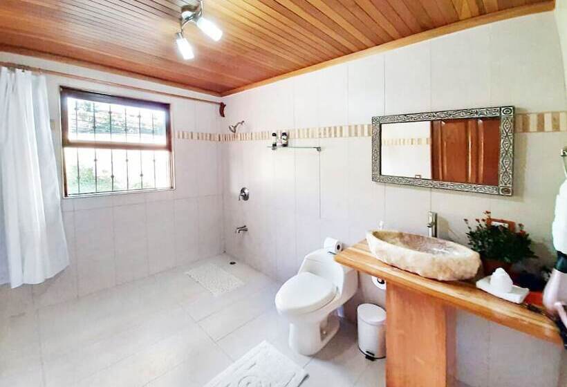 فندق صغير Luna Inn B&b