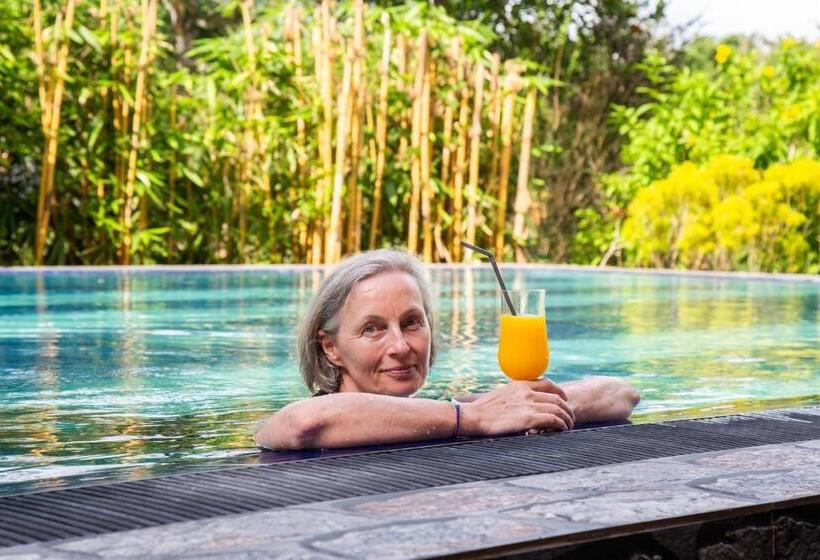 Bed and Breakfast Laluna Eco Resort Pvt Ltd