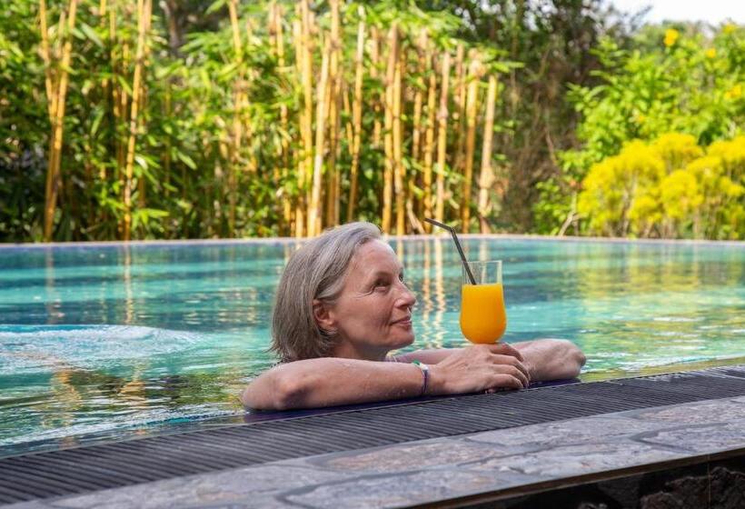 Bed and Breakfast Laluna Eco Resort Pvt Ltd