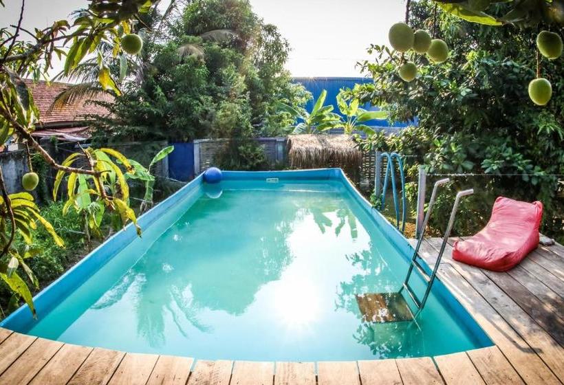 צימר The Playground