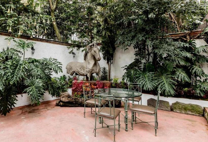 Отель Los Camilos