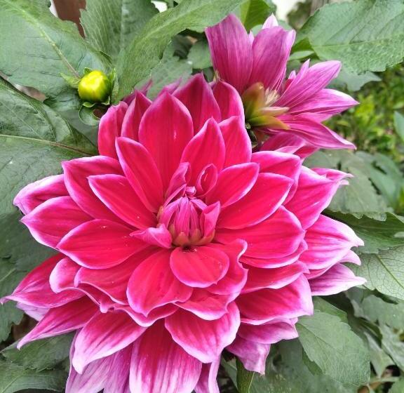 پانسیون Chun Jian