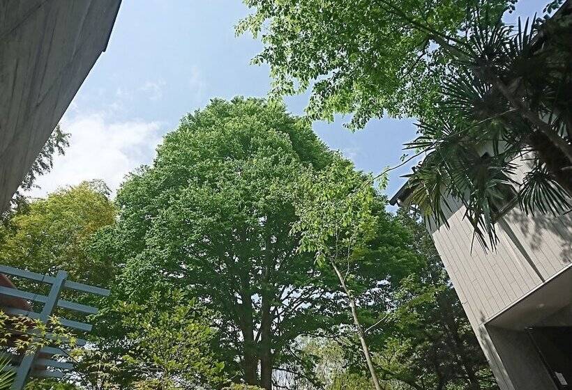 بنسيون Hakone Mori No Yado