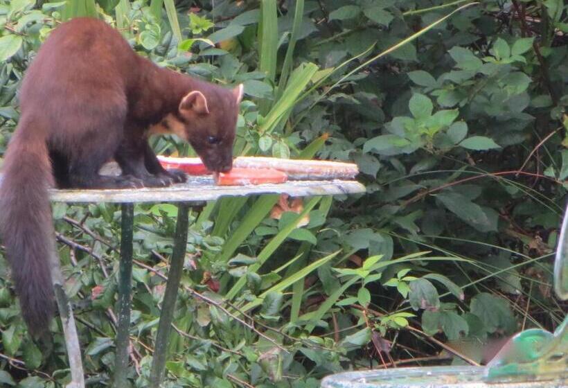 بنسيون Lochwood Guest House