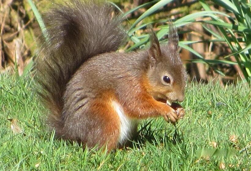 بنسيون Lochwood Guest House