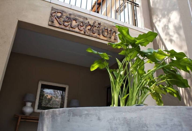 ペンション Mosate Guest House