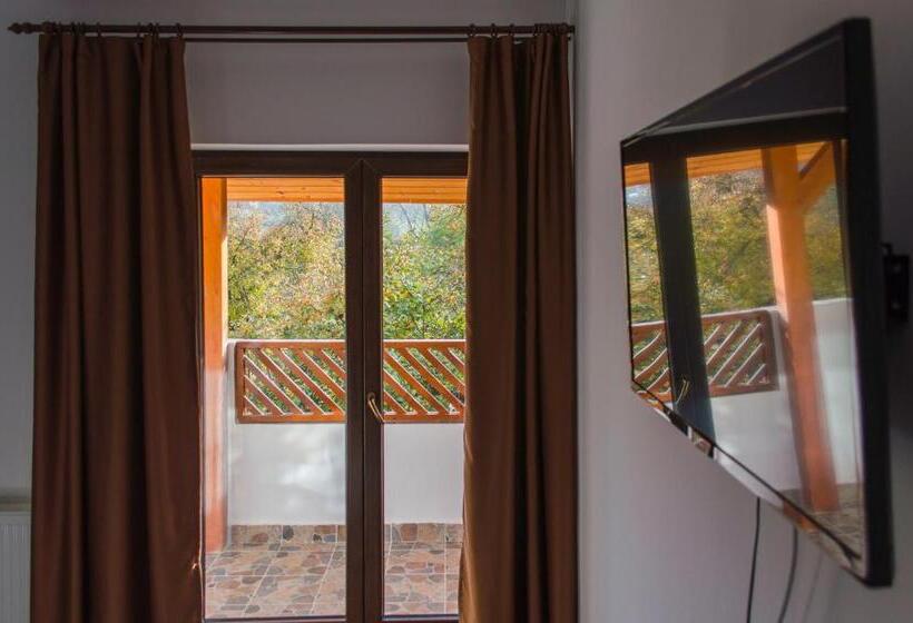 Pensiune Casa Ampeia