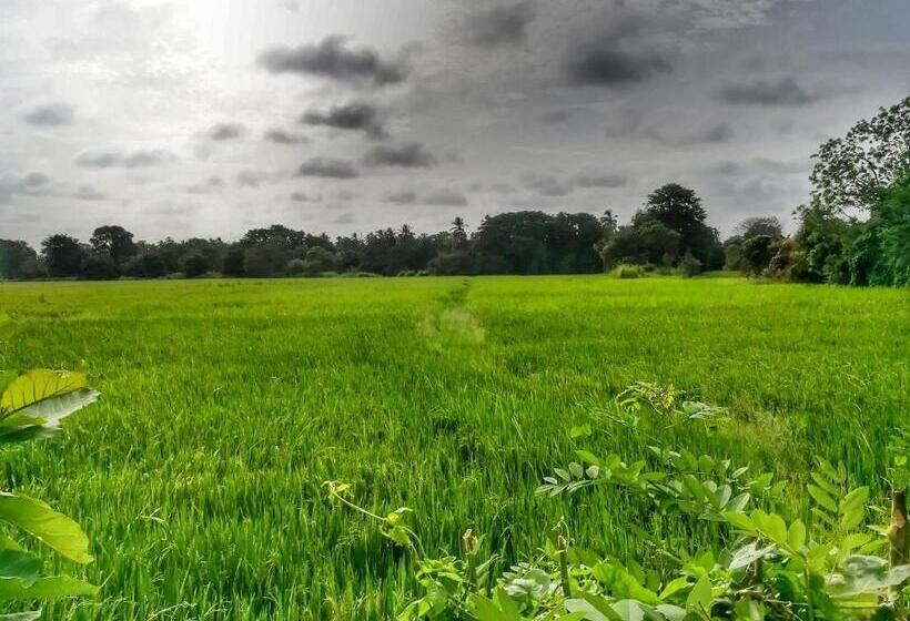 فندق صغير Coco Garden Holiday Homes