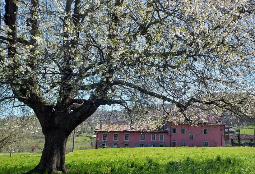 هاستل El Campo De Petra