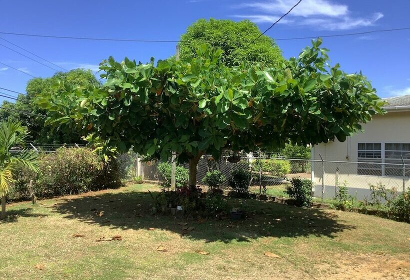 تختخواب و صبحانه Ritashomeawayfromhome